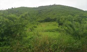 Imagem 5: Sítio com 21 hectares