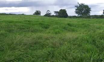 Imagem: Fazenda de 319ha em a 40km de Cuiabá em