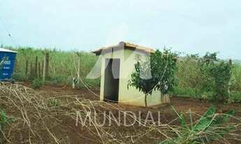 Imagem 5: Chacara (chacara) 2 dormitórios/suite, cozinha planejada, em condomínio fechado