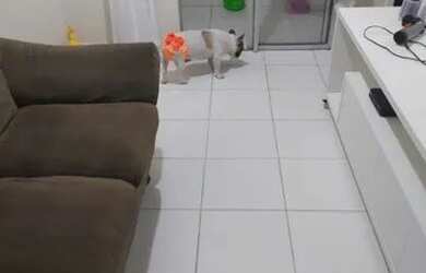 Imagem 2: Residencial dos Passáros 55797