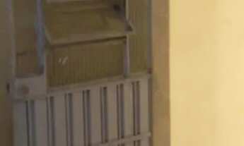 Imagem 5: Aluga-se uma casa 550