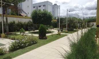 Imagem 4: Vende-se um Lindo Apartamento