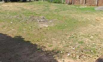 Imagem 3: Chácara 5000 MT Montalvão