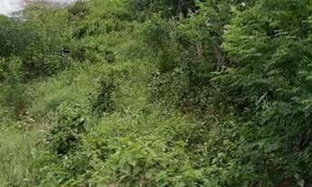 Imagem 7: Chácara nova á venda na PE-365,próximo a Triunfo-PE