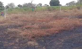 Imagem 2: Lotes em Conceição da feira