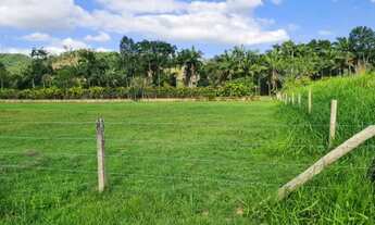 Imagem 3: Terreno industrial/comercial