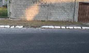 Imagem: Vendo no centro 14x36