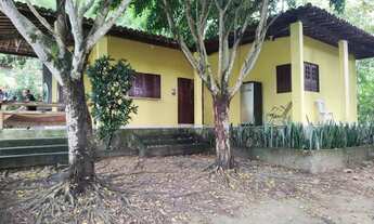 Imagem 6: Chácara a venda