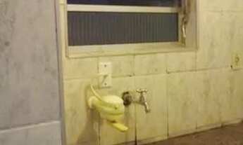 Imagem 4: Casa para aluguel com 65 metros quadrados com 2 quartos em Vila Prudente - São Paulo - SP