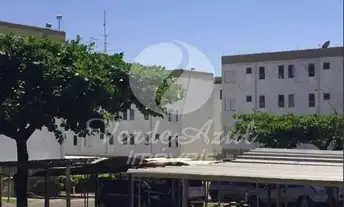 Imagem 6: Apartamento - Vila Padre Manoel de Nóbrega - Campinas