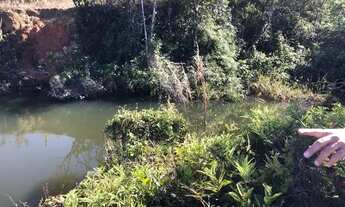 Imagem 2: Chacara 02 alqueires ao lado Nova Pecuária