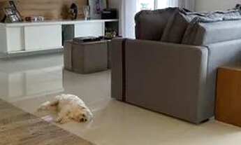 Imagem 2: APARTAMENTO - MORUMBI - SP