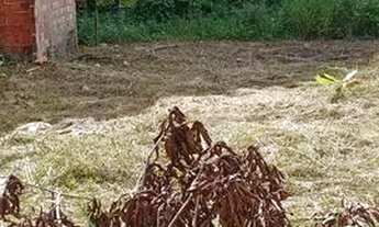 Imagem 5: Lote em mosqueiro bem localizada barrio aeroporto