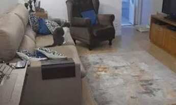 Imagem 3: Sobrado 4 Dormitórios, 2 Vagas VL Regente Feijó- Anália Franco