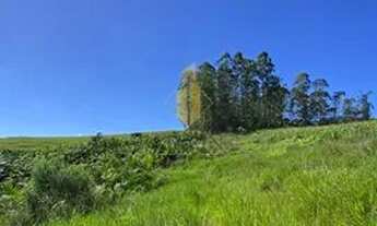 Imagem 6: Sítio em Escalvadinhos - Navegantes