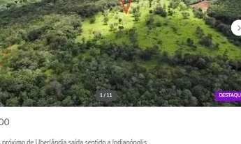 Imagem 6: Chácara a venda