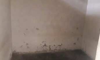 Imagem 2: CASA PARA VENDER. NA TAIÇOCA DE FORA