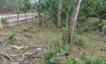 Imagem: Vendo chácara em São Simão sp a um km