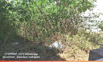 Imagem 6: Vendo - Excelente Terreno Murado - Santo Antônio dos Prazeres - Próximo ao Sim