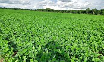 Imagem 2: Fazenda a venda em Canarana - MT