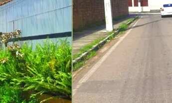 Imagem 2: VENDO KIT NETS BARATO