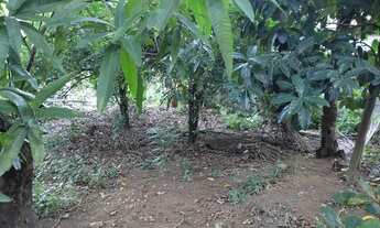 Imagem 3: Vendo Terreno em Vista da Serra 1