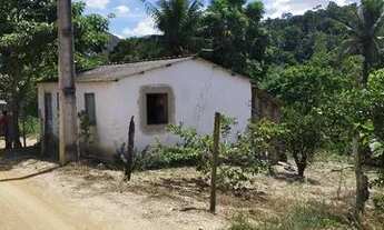 Imagem 3: Chácara com casa