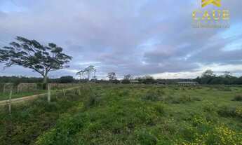 Imagem 4: Sítio de 8000me sem benfeitorias