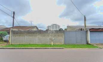 Imagem 3: Terreno murado e desocupado ZR4