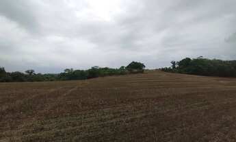 Imagem 6: Sitio 30 alqueires, Floresta- pr ,na Estrada Pinguim, R$ 8.000.000,00