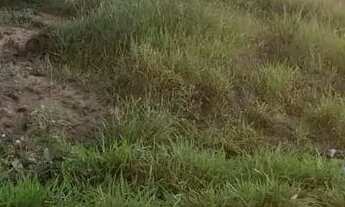 Imagem 6: Lote em Rua Escritor João Cabral de Melo Neto - Belvedere - Ribeirão das Neves/MG