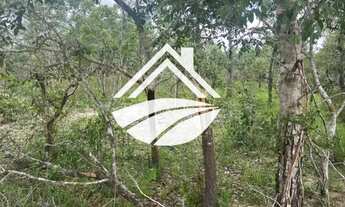 Imagem 4: Fazenda para Venda em São Luís, MATOPIBA