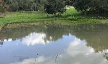 Imagem 6: Vendo chácara de 3,6 hectares na localidade da boca da serra