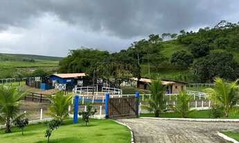 Imagem 4: Fazenda À Venda em Atalaia! Leia a Descrição!