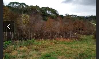 Imagem 3: Área em Bocaiúva do Sul/PR