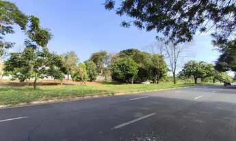 Imagem 5: Terreno para venda com 540m² - Murado - City Ribeirão