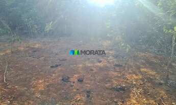 Imagem 4: FAZENDA À VENDA - 193 HECTARES - INIMUTABA (MG