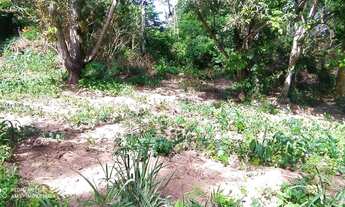 Imagem 3: Área rural com 10 hectares, plano, frente para Pi-112, a 20 km de Teresina!
