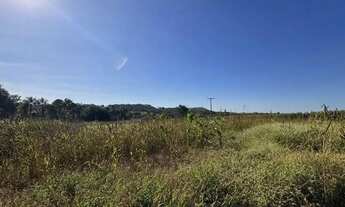 Imagem 3: Fazenda a venda - Pontalina - GO