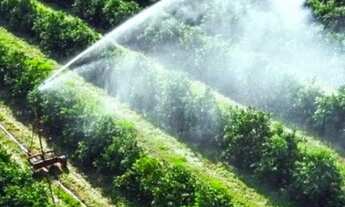 Imagem 5: Fazenda, Sítio, Chácara