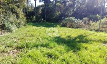 Imagem 4: Amplo terreno à venda em bairro residencial