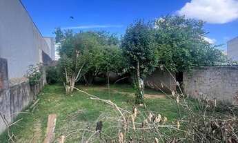 Imagem 7: Dois terrenos para venda