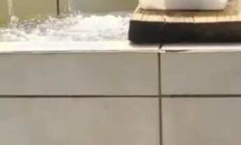 Imagem 3: FAZENDA 30,5 ALQUEIRES, PIRENÓPOLIS