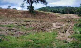 Imagem 7: Vendo 16.20 alqueires no município de Araguapaz