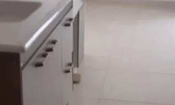 Imagem 6: APARTAMENTO - JARDIM MARAJOARA - SP