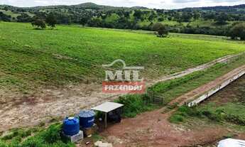 Imagem 3: Fazenda 217.5 alqueires ( 1.052,7 hectares ) Itapirapuã GO