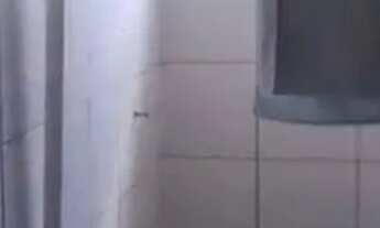 Imagem 7: Fazendinha 25 Alqueires 25 Minutos de Montes claros/Ótima Localização.