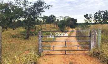 Imagem 4: Excelente sítio à venda, 13.560m² por R$ 1.500.000 - Zona Rural - Uberlândia/Prata-MG