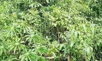 Imagem 5: Lote em Condomínio à venda, Canto da Mata - Nova Lima/MG