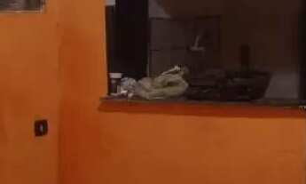 Imagem 6: Casa no totó Casa com 1 dormitório